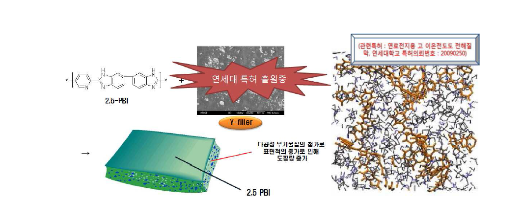 신규 PBI 전해질 막의 개념도 및 구조