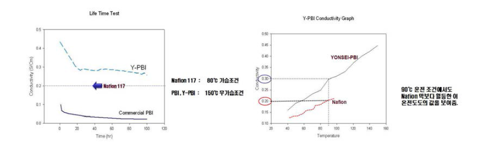 연세대 자체 개발 Novel-PBI계 전해질 막의 특성비교