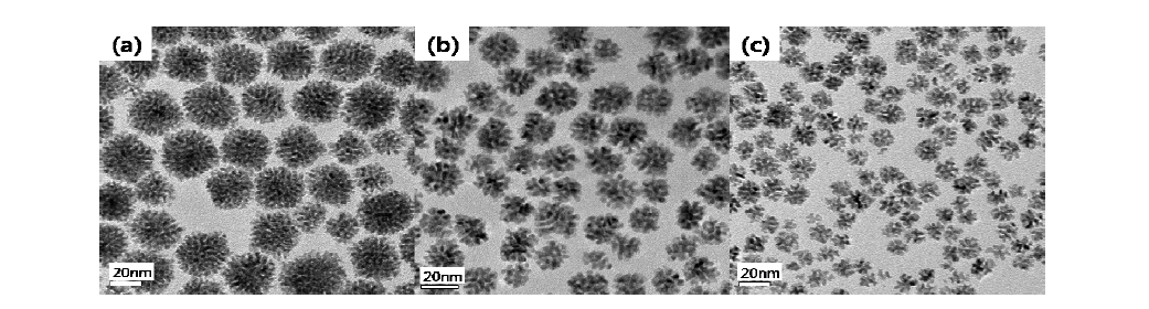 크기 제어된 수지상 백금 나노입자 (a) 온도조건 60C˚, 크기 30.5±4.0nm (b) 온도조건 70C˚, 크기 18.9±2.6nm (c) 온도조건 90C˚, 크기 13.1±2.7nm