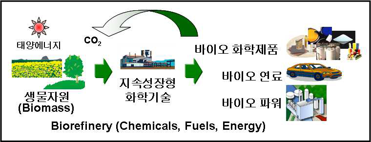바이오매스 이용 에너지 및 화학소재 생산(바이오리파이너리)의 개념도