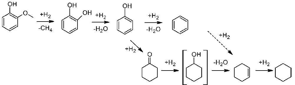 N. Dupassieux 교수팀이 제안한 CoMo/γ-Al2O3 촉매상에서 구아이아콜의 수첨탈산소 반응 경로.