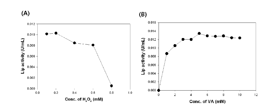 과산화수소 (A)와 veratryl alcohol (B)의 농도에 따른 Lip의 활성 변화