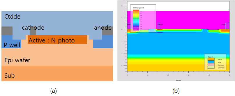 포토다이오드의 기본단면(a)과 ATHENA로 모사된 포토다이오드 단면(b)