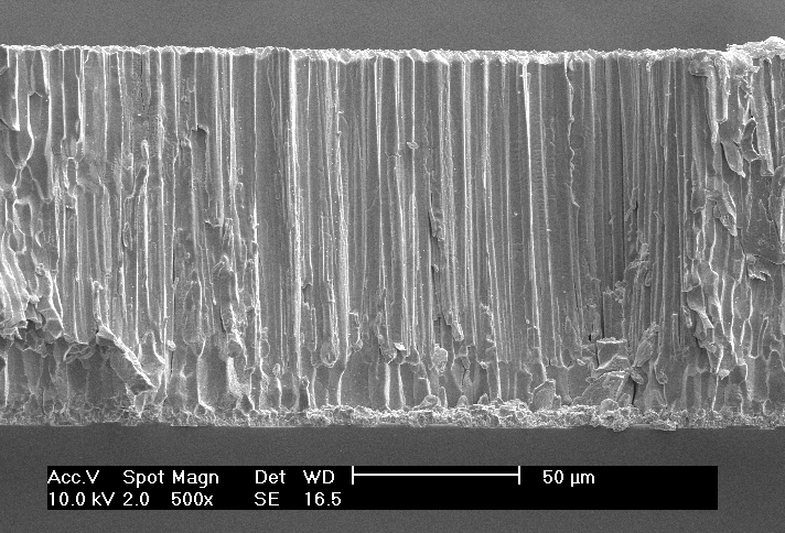 Columnar structure type 섬광체- CsI(Tl)