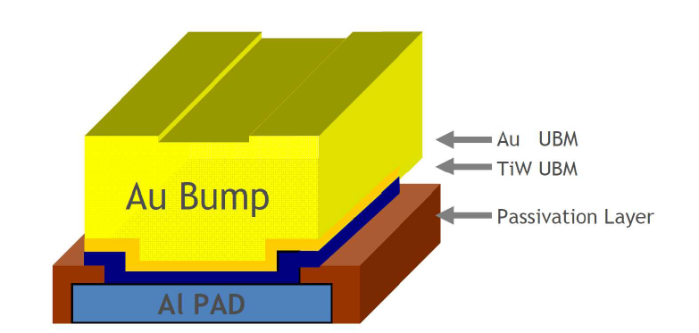 Au Bump 3D Structure