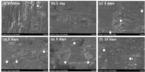 The variation of Ti surface