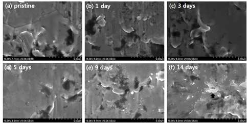 The variation of Nb surface