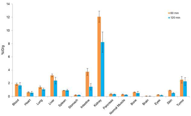 Bio-distribution studies in B16F10 allograft mice