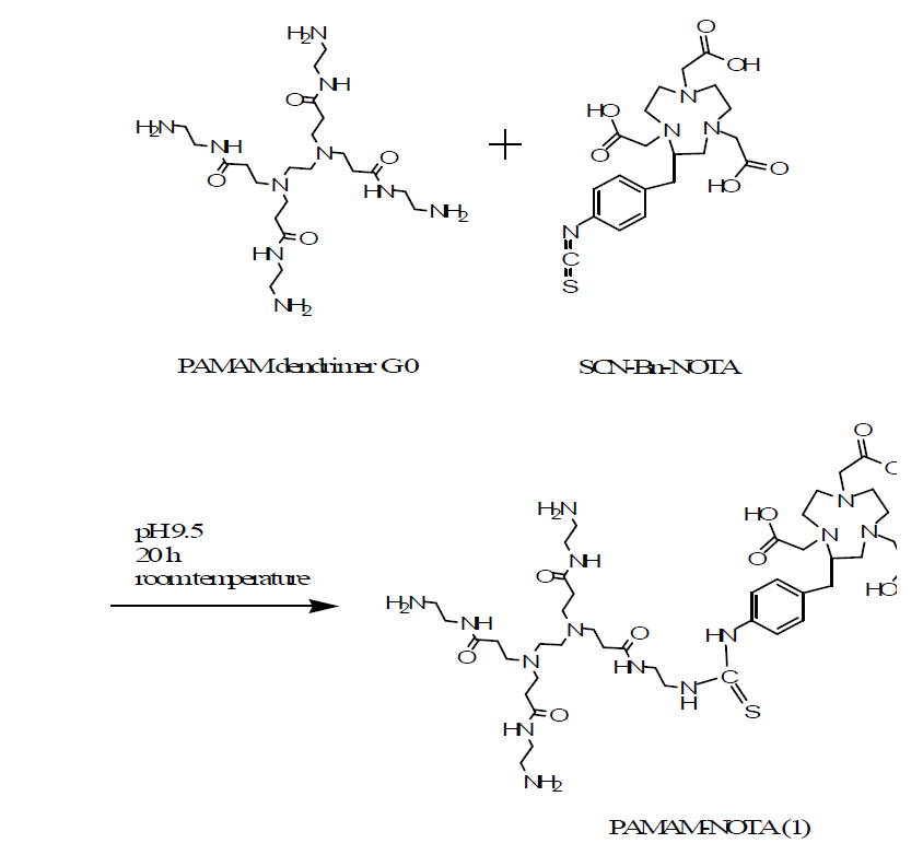 The scheme of NOTA-PAMAM dendrimer