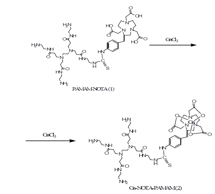 The scheme of Ga-NOTA-PAMAM dendrimer