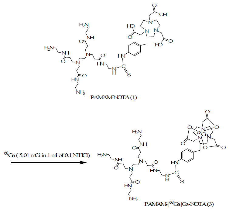 The scheme of [68Ga]Ga-NOTA-PAMAM dendrimer