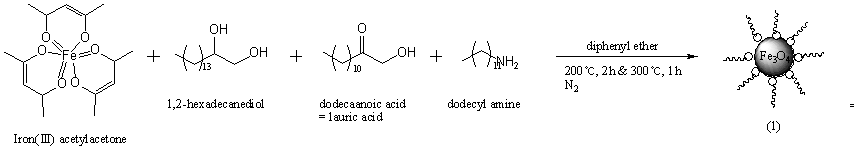 The scheme of Fe3O4 nano-particle