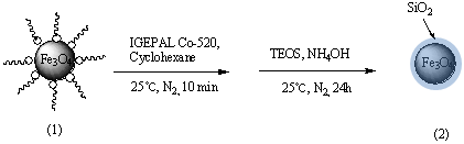 The scheme of Fe3O4@SiO2 composites