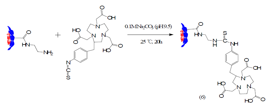 The synthesis of NOTA conjugated nano dendrimer composites