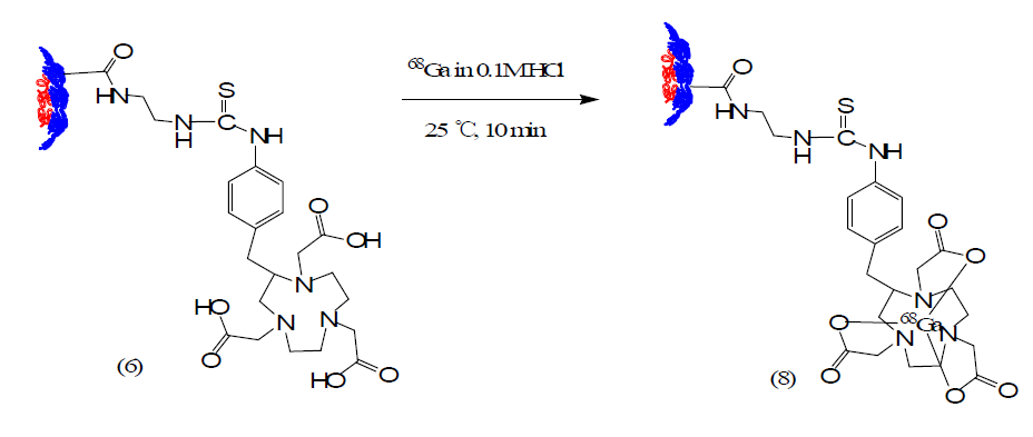 The synthesis of Ga-68 labeled nano dendrimer composites