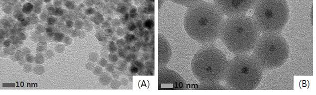 TEM image of Fe3O4 nanoparticles(A) & Fe3O4@SiO2 core-shell(B)