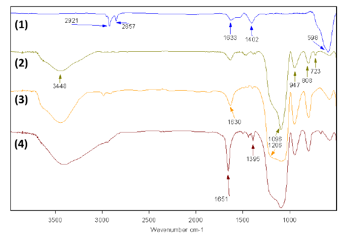 Fe3O4 nanoparticles(1), Fe3O4@SiO2 core-shell(2), Infrared spectrum of Fe3O4@SiO2-NH2(3) and Fe3O4@SiO2-NH2-PEG(4)