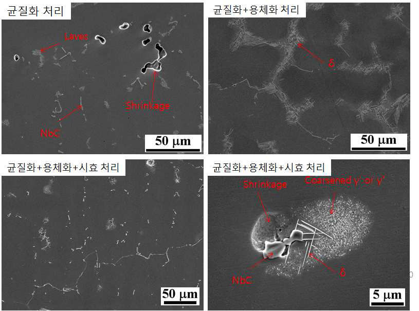 일반 열처리 후 시험편 IN718 합금의 미세조직