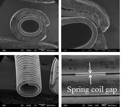 SEM Images of a C-shaped spring-energized static seal