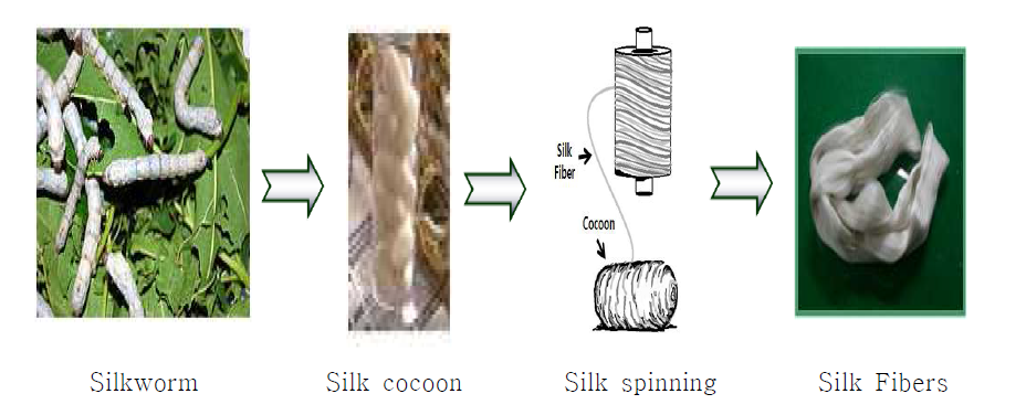 Manufacturing process of silk fiber.