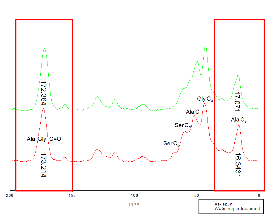 Solid-state 13C NMR spectra of silk fibroin nanofibers before and after water vapor treatment.