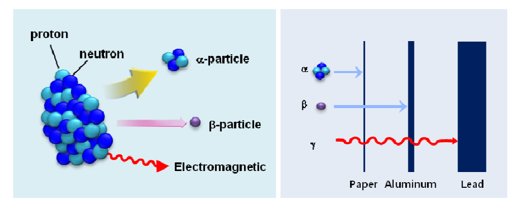 Radioactive decay and relative permeability of radiation.