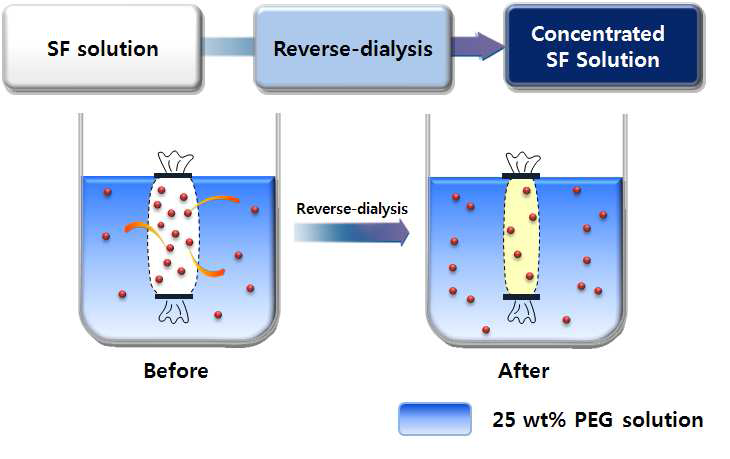 Schematic diagrame of concentration of SF aqueous solution.