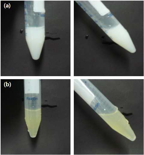 Gelation behavior at various irradiation dose; (A) 20 kGy irradiated sample of effective penetration depth is shallower than sample thickness, (B) 40 kGy irradiatied sample of effective penetration depth is deeper than sample thickness.