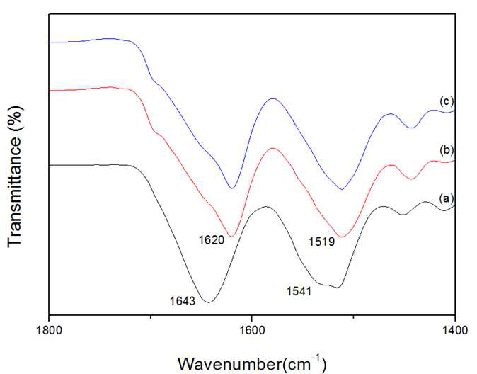 ATR-IR sepctra of E-beam irradiated SF solution : (a) silk sponge, (b) 20 kGy, (c) 60 kGy.