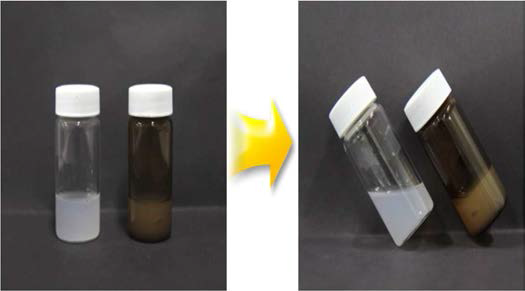 Formation of hydrogel by gamma-ray irradiation.