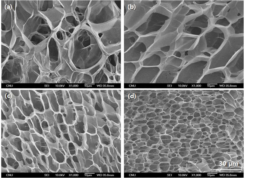 SEM images of SF hydrogel, effect of the irradiation dose : (a) 20 kGy, (b) 40 kGy, (c) 60 kGy, (d) 80 kGy.