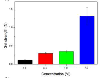 Gel strength of hydrogel, effect of the SF solution concentration.