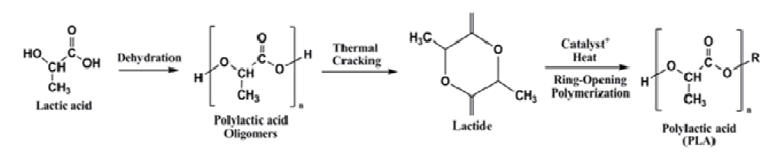 Synthesis of poly(lactic acid).