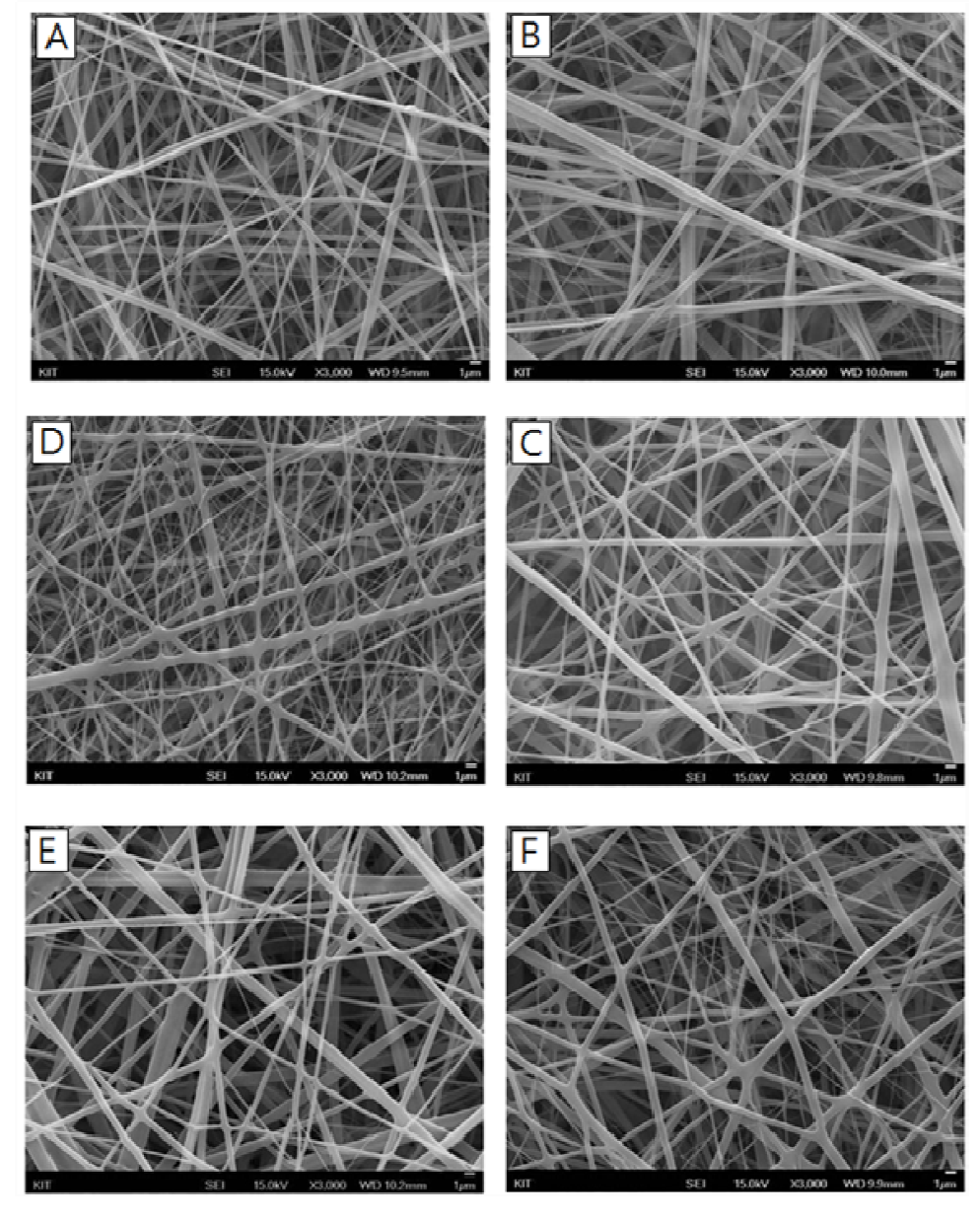 SEM micrographs of nonwoven silk fibroin nanofiber webs irradiated at various absorption doses : (A) 0 kGy, (B) 5 kGy, (C) 10 kGy, (D) 20 kGy, (E) 30 kGy, and (F) 50 kGy.