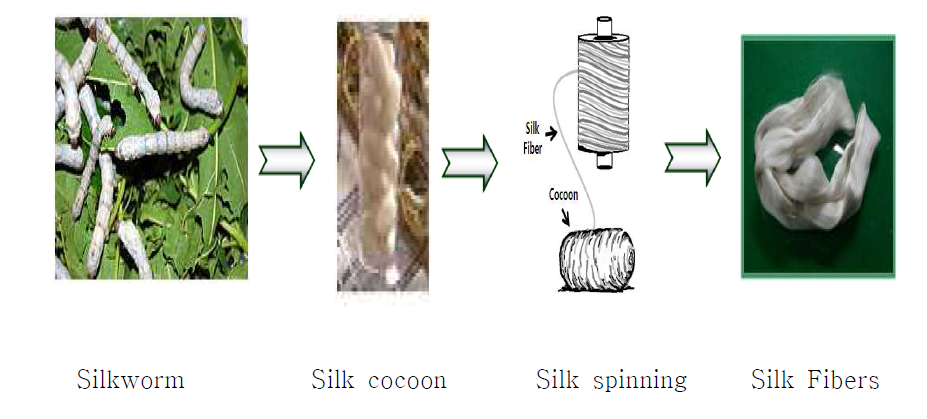 Manufacturing process of silk fiber.