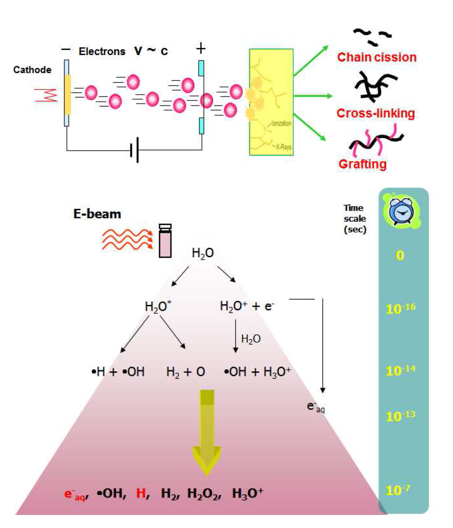 Schematic of electron beam process used in the present work.