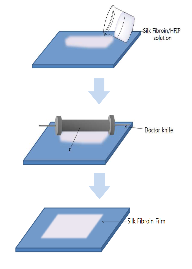 Schematic illustration of the experimental procedure to fabricate a silk fibroin film using doctor knife.