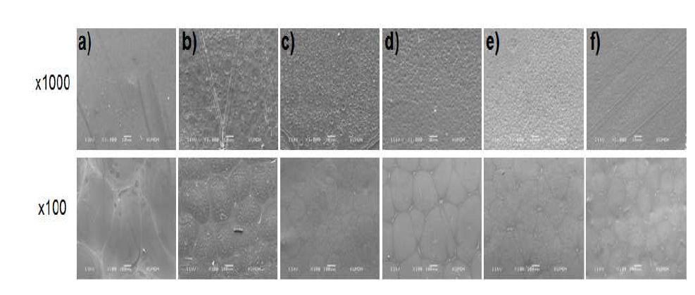 SEM micrographs of water vapor untreated 80% SF/PLGA films: a) 0 kGy; b) 100 kGy; c)150 kGy; d) 200 kGy; e) 250 kGy; and f) 300 kGy, respectively.