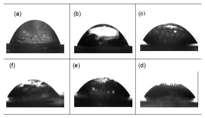 Water contact angle measurement of (a) 0 kGy 100% SF film; (b) 100 kGy; (c) 150 kGy; (d) 200 kGy; (e) 250 kGy and (F) 300 kGy, respectively.