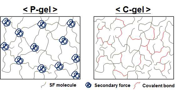 Cross-linking formation of chemical and physical hydrogels.