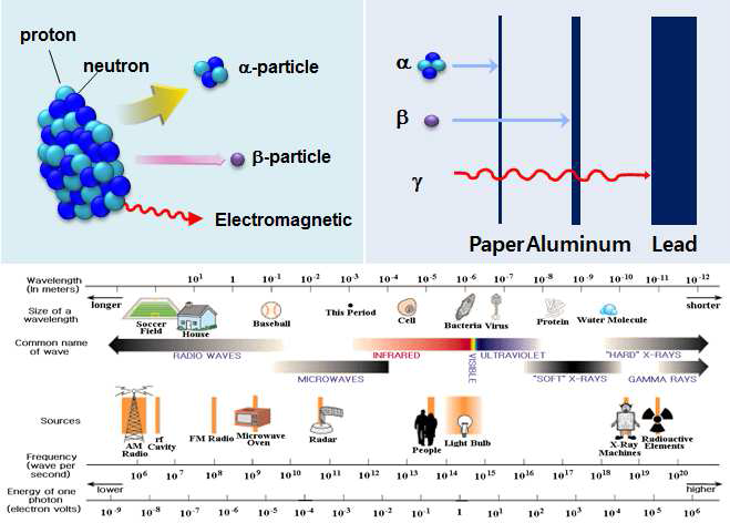 Radioactive decay and relative permeability of radiation.