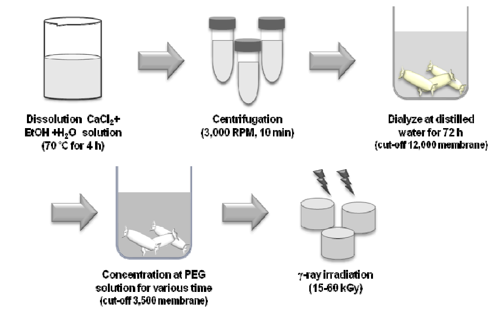 Schematic diagram of the fabrication process of SF hydrogel.