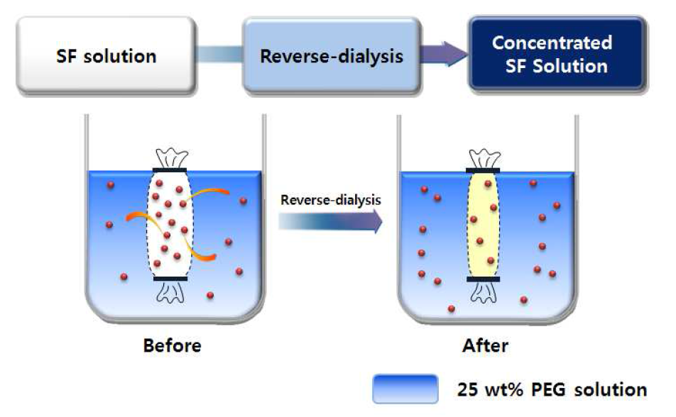 Schematic diagram on concentration of SF aqueous solution.