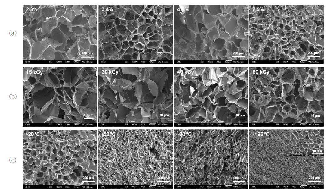 SEM images of SF hydrogels; (a) SF solution concentration (at 60 kGy, -20 pre-freezing temp.), (b) irradiation dose (at 2.3%, -20 pre-freezing temp.), (c) pre-freezing temp. (at 60 kGy, 7.9 %).