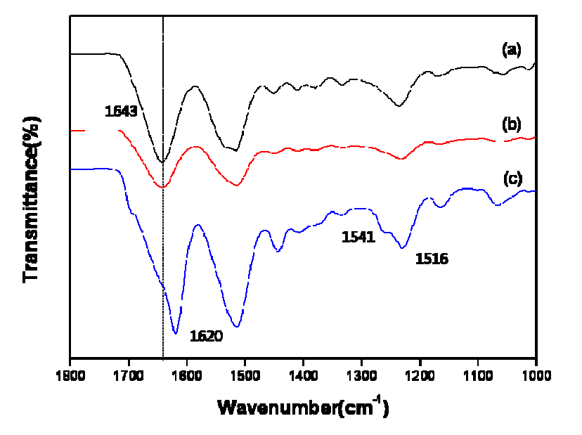 ATR-IR spectra of Silk Fibroin hydrogels; (a) regenerated SF sponge, (b) chemical SF hydrogel sponge (60 kGy), (c) physical SF hydrogel sponge (stored at 37℃ ).