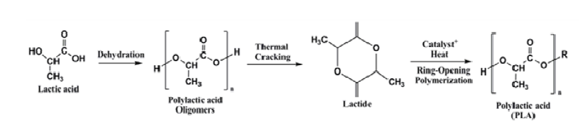 Synthesis of poly(lactic acid).