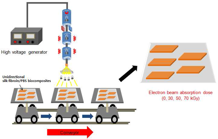 Electron beam processing of unidirectional silk fibroin/PBS biocomposites used in the present work.