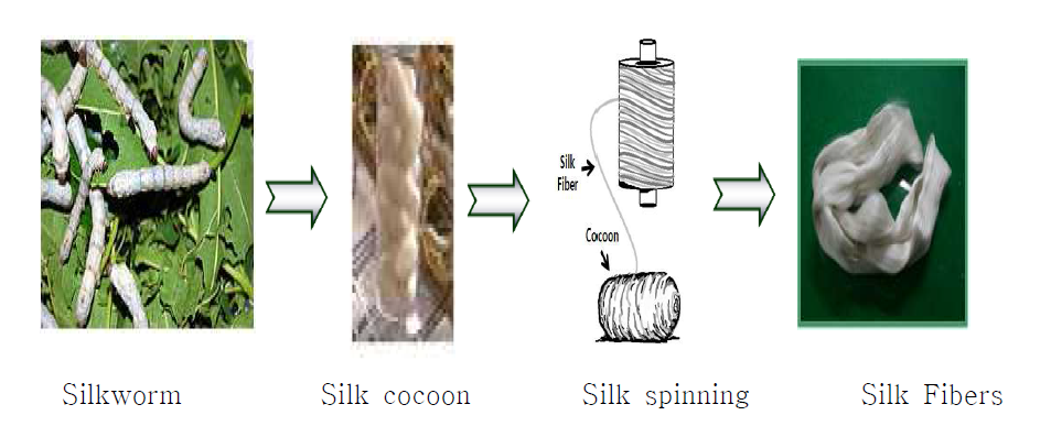 Manufacturing process of silk fiber.