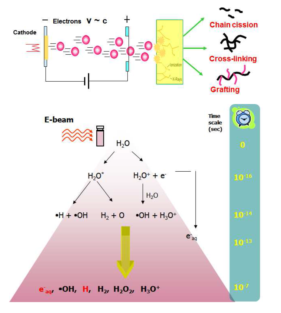 Schematic of electron beam irradiation process used in the present work.