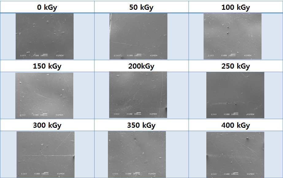 SEM micrographs of water vapor untreated 90% SF/PLGA films: a) 0 kGy; b) 50 kGy; c) 100 kGy; d) 150 kGy; e) 200 kGy; f) 250 kGy; g) 300 kGy; e) 350 kGy and f) 400 kGy, respectively.